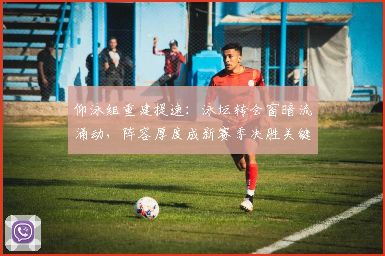 仰泳组重建提速：泳坛转会窗暗流涌动，阵容厚度成新赛季决胜关键