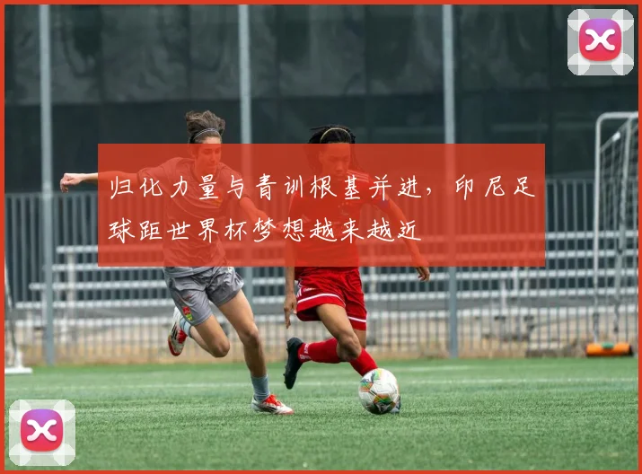 归化力量与青训根基并进，印尼足球距世界杯梦想越来越近