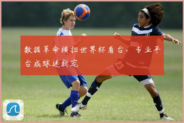 数据革命横扫世界杯看台，专业平台成球迷新宠